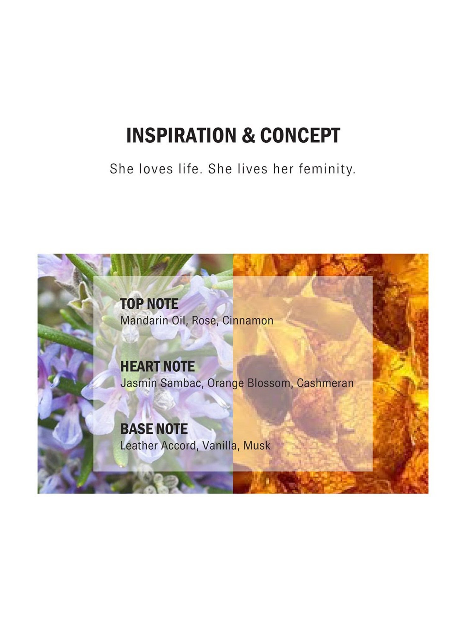 Porsche Woman Black Eau de Parfum - 100 ml