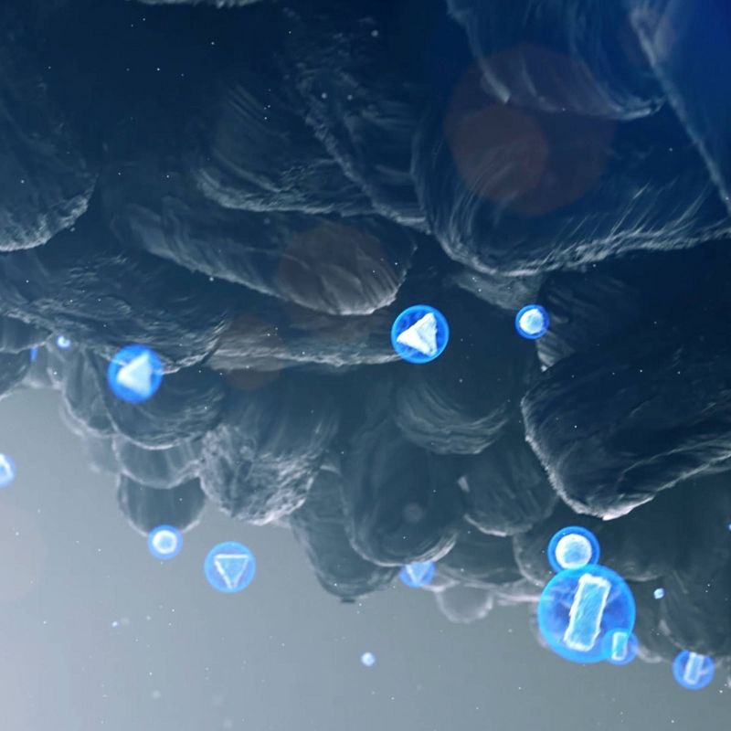 Blueair 200 series Dual Protection Filter