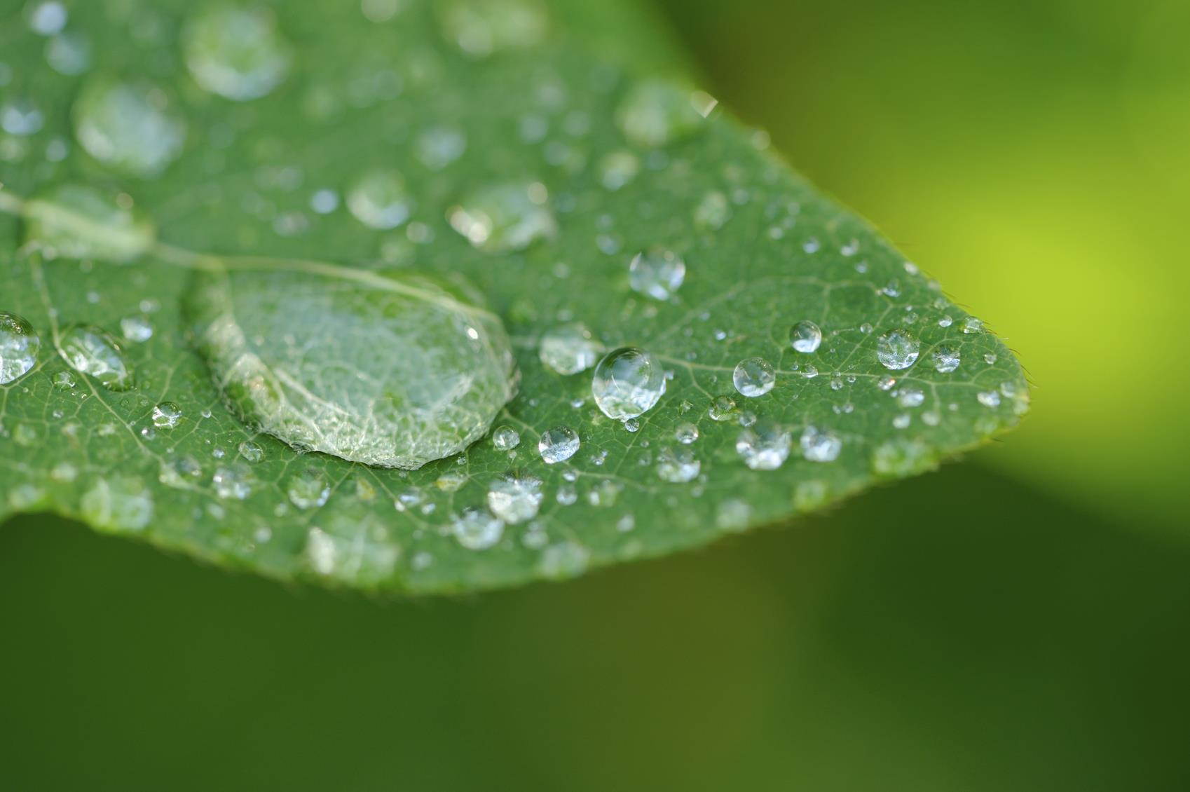 Canon EF-M 15-45mm f/3.5-6.3 IS STM Macro 10x High Definition 2 Element Close-Up (Macro) Lens (49mm)