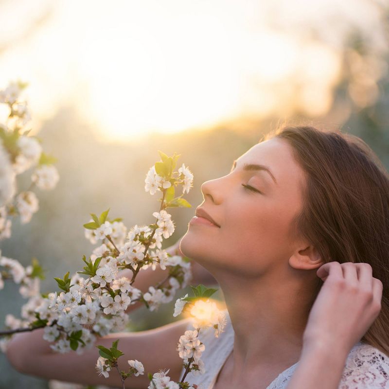 Air Wick Scented Oil Air Freshener Jasmine and Sri Lankan Cinnamon Leaf Starter Kit - 0.67 fl oz