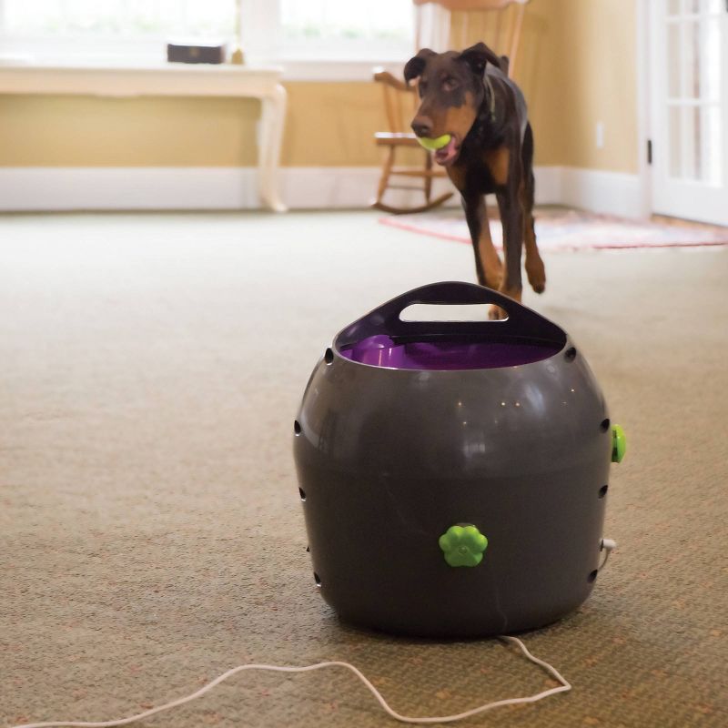 PetSafe Automatic Ball Launcher - Gray