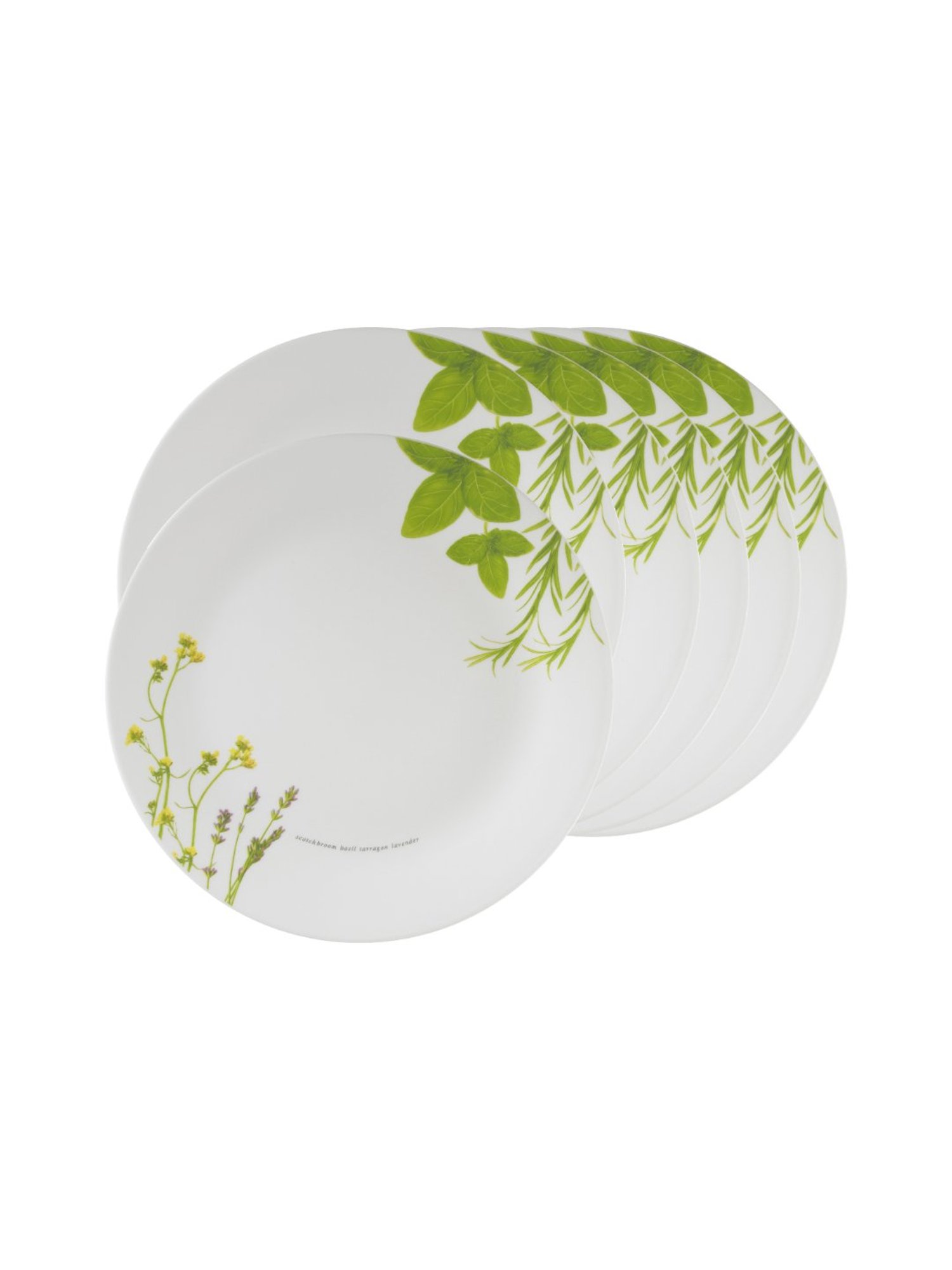 Corelle Asia European Herbs 26cm Dinner Plate Pack of 6