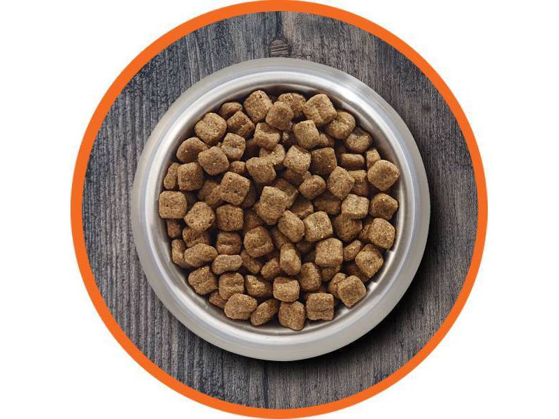 Iams Indoor Salmon Dry Cat Food - 7lbs