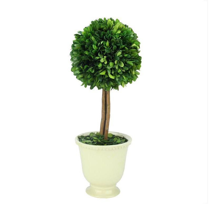 Napa Home & Garden 1.3' Unlit Green and White Artificial Preserved Boxwood Evergreen Globe Topiary
