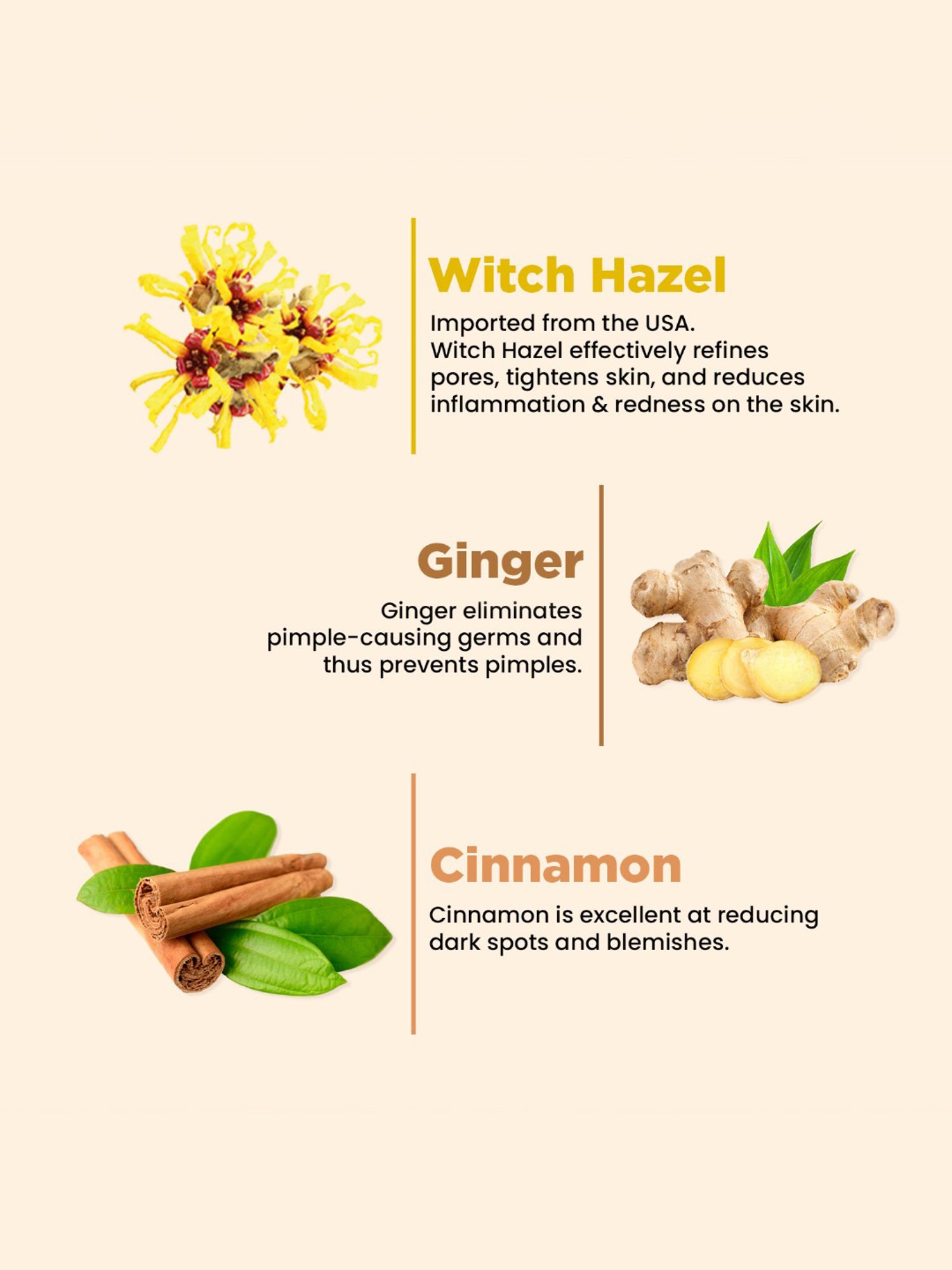 The Skin Story Ginger & Cinnamon Pimple Control Face Wash - 100 ml