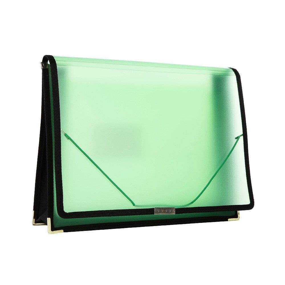 Filexec Single Pocket Expanding File, Letter, Elastic Closure, Assorted, Pack of 6 (50125-3429)