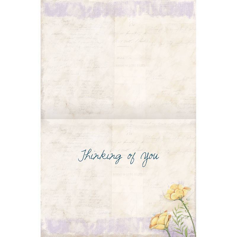 18ct 5.25"x4" All Occasion Field Guide Note Cards - LANG