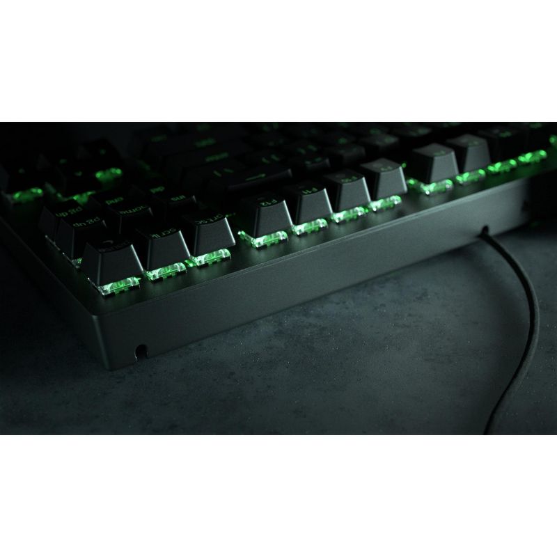 Razer BlackWidow V3 Tenkeyless Compact Mechanical keyboard - Green Switch