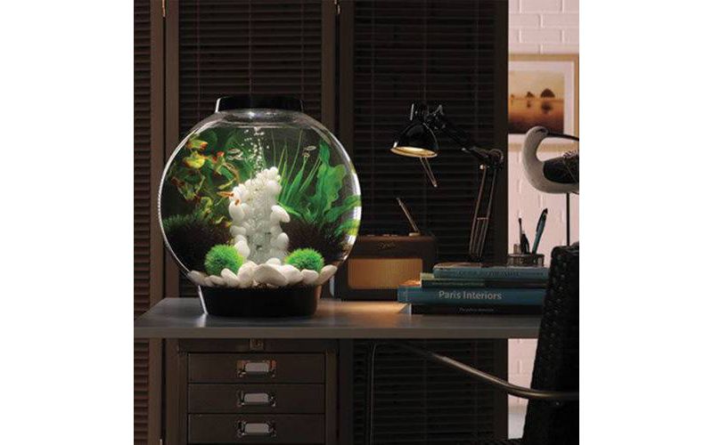 Little Giant Pumps 582507 1325 GPH 1/10 HP Magnetic Drive In Line Aquarium Pump