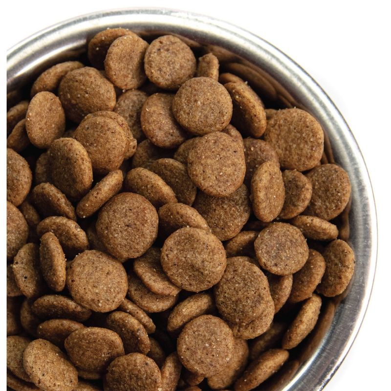 Nutro Wholesome Essentials Farm-Raised Chicken, Brown Rice & Sweet Potato Recipe Large Breed Adult Dry Dog Food - 30lbs