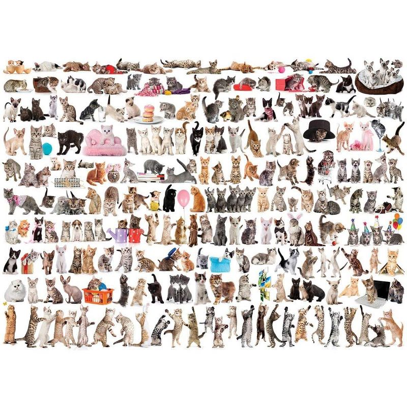 Eurographics Inc. The World of Cats 1000 Piece Jigsaw Puzzle