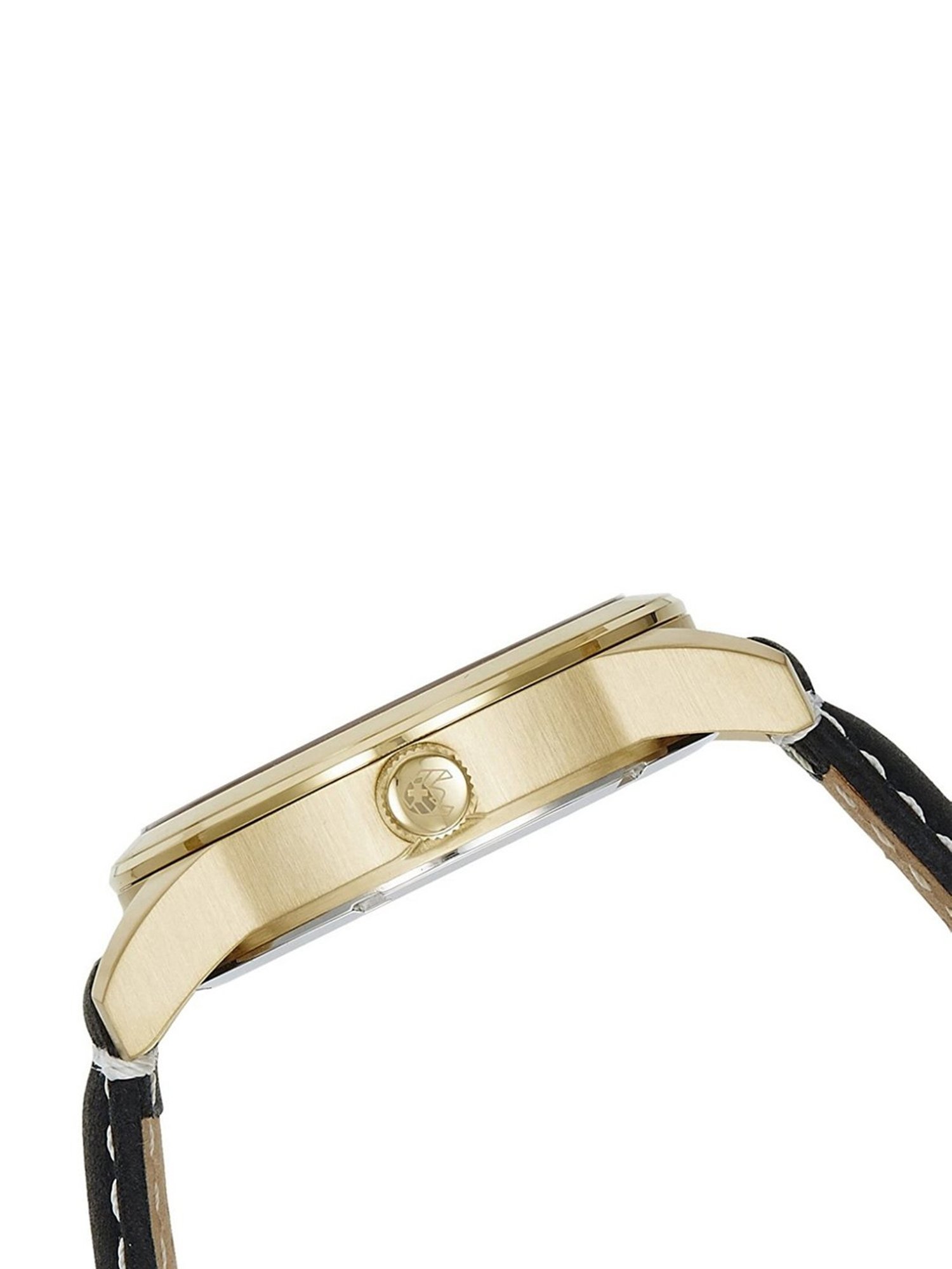 Swiss Eagle SE-9029-05 Analog Watch for Men