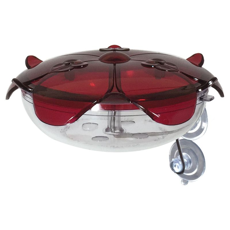 Droll Yankees The Ruby Sipper Window Hummingbird Feeder - Clear