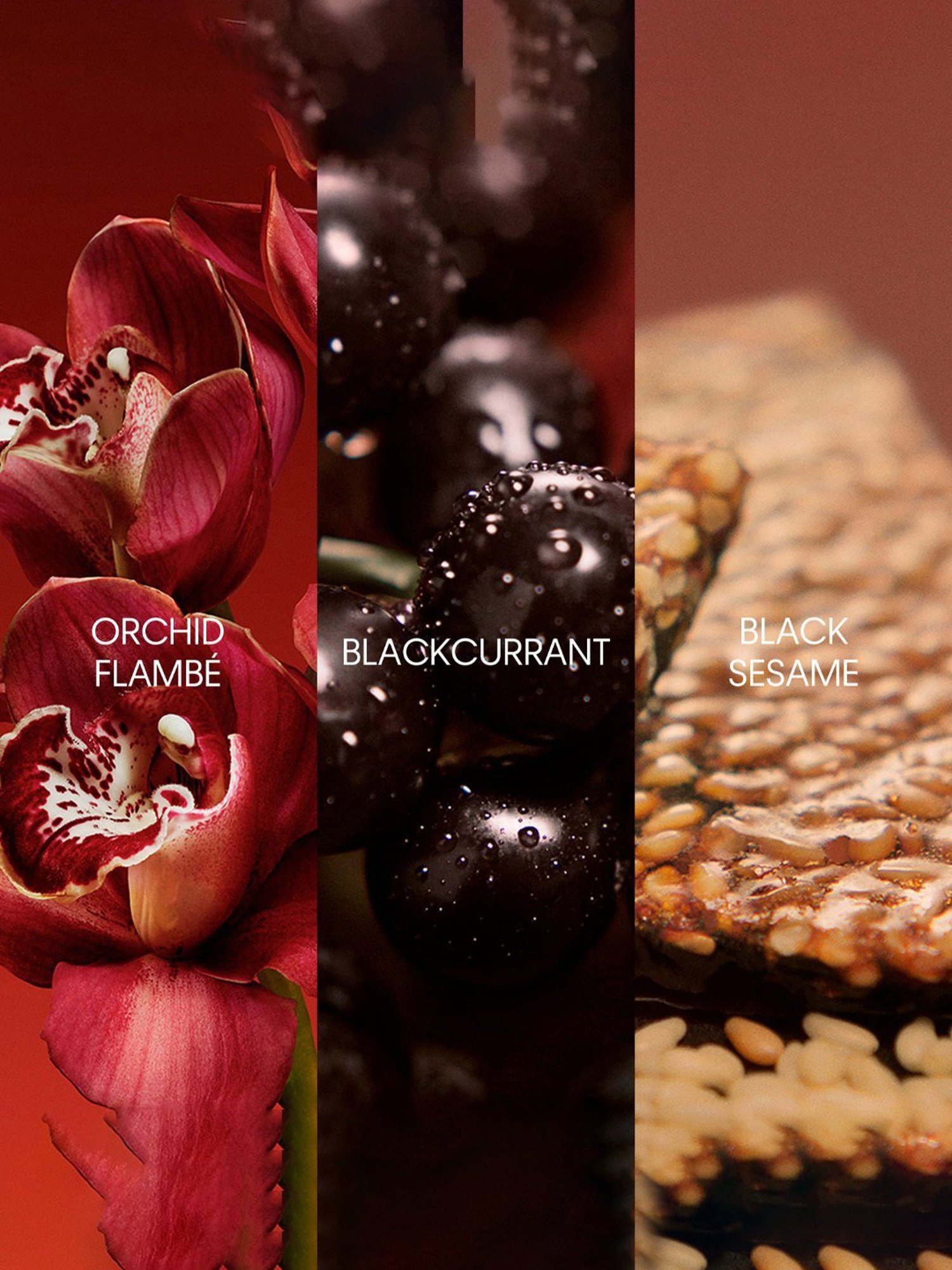 Dorall Collection Monte Carlo Oud Eau de Toilette for Men - 100 ml