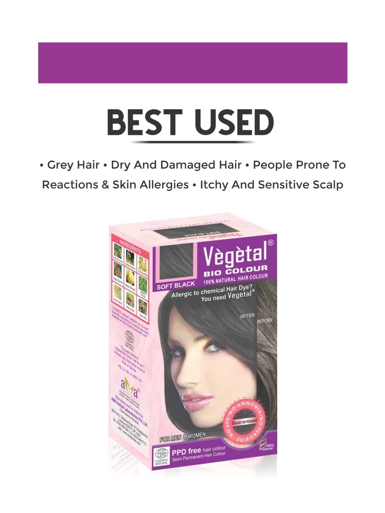 Vegetal Hair Bio Color Soft Black - 50 gm