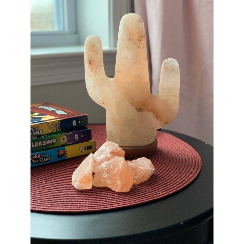 Cactus Himalayan Salt Lamp Pink - Q&A Supply