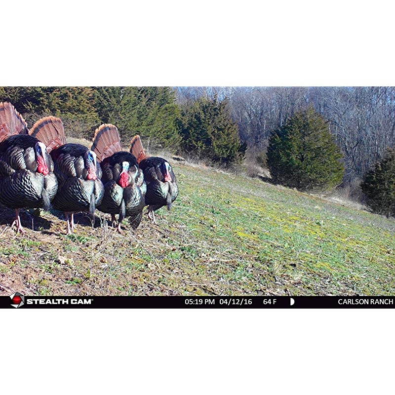 Security Camera WiFi IP Home CameraR2C 1080P HD Baby Monitor Wireless Pet Camera with AI Human Sound Detection Free Cloud Included 2Way AudioWorks with Alexa PanTilt Night Vision