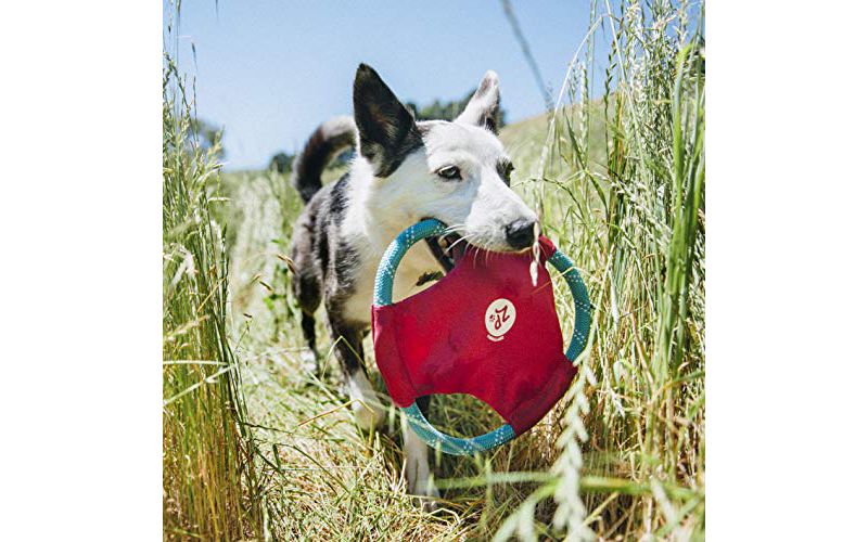 NERF Blitz Squeak Football Dog Toy - Green - 7"