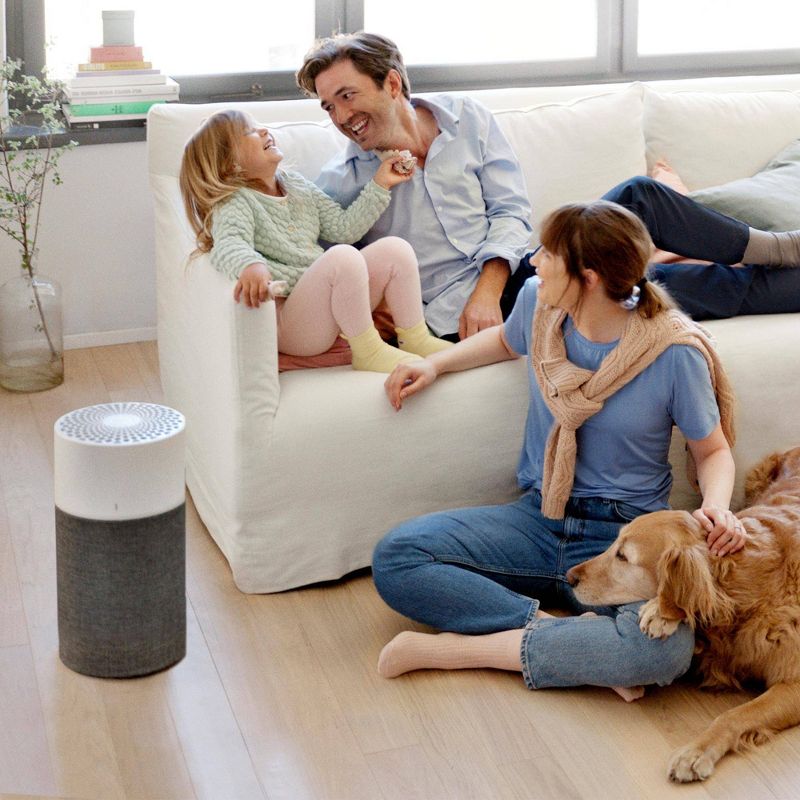 Blueair Blue Pure 311 Auto HEPA Silent Air Purifier