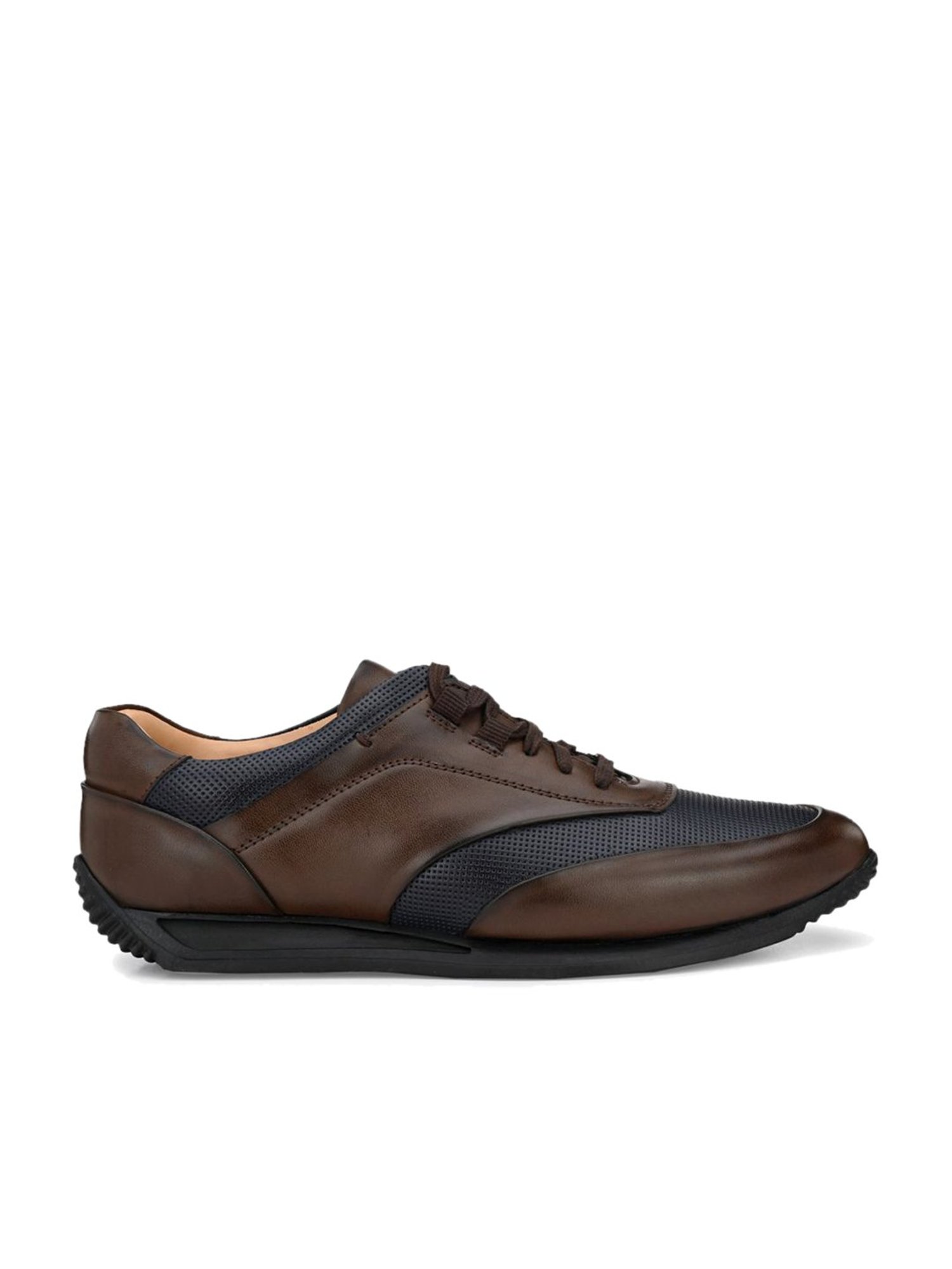 San Frissco Brown & Navy Sneakers
