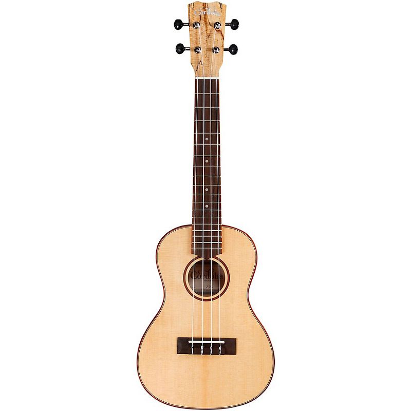 Cordoba 24C Spruce Spalted Maple Concert Ukulele Natural