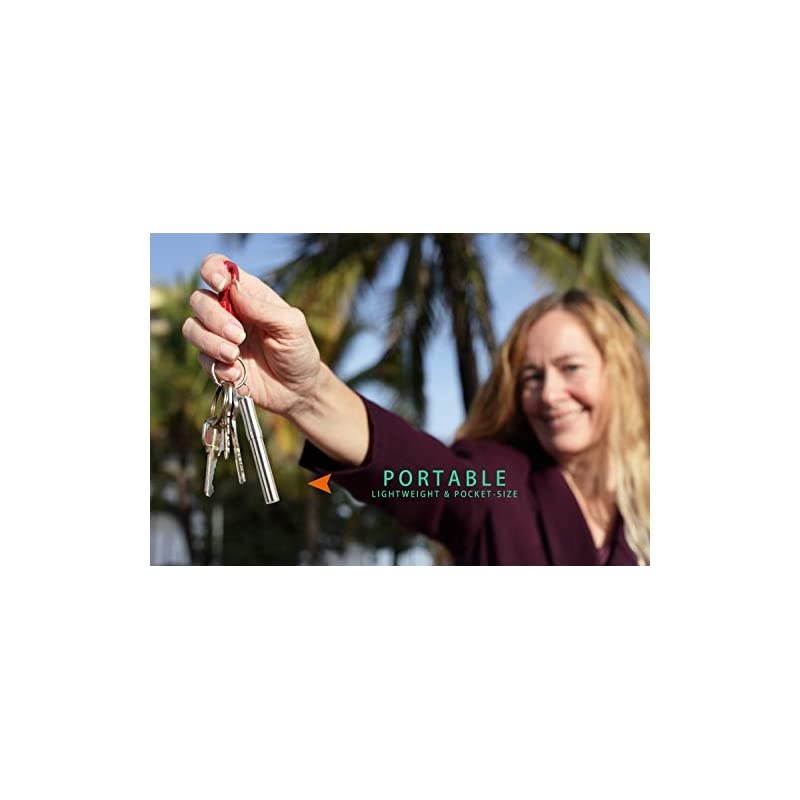 Holder with Titanium s, Decorative Portable Outdoor Stainless Steel Dispenser&Container Pocket with 3Pcs Reusable Food Fruit Picks for Camping Picnic