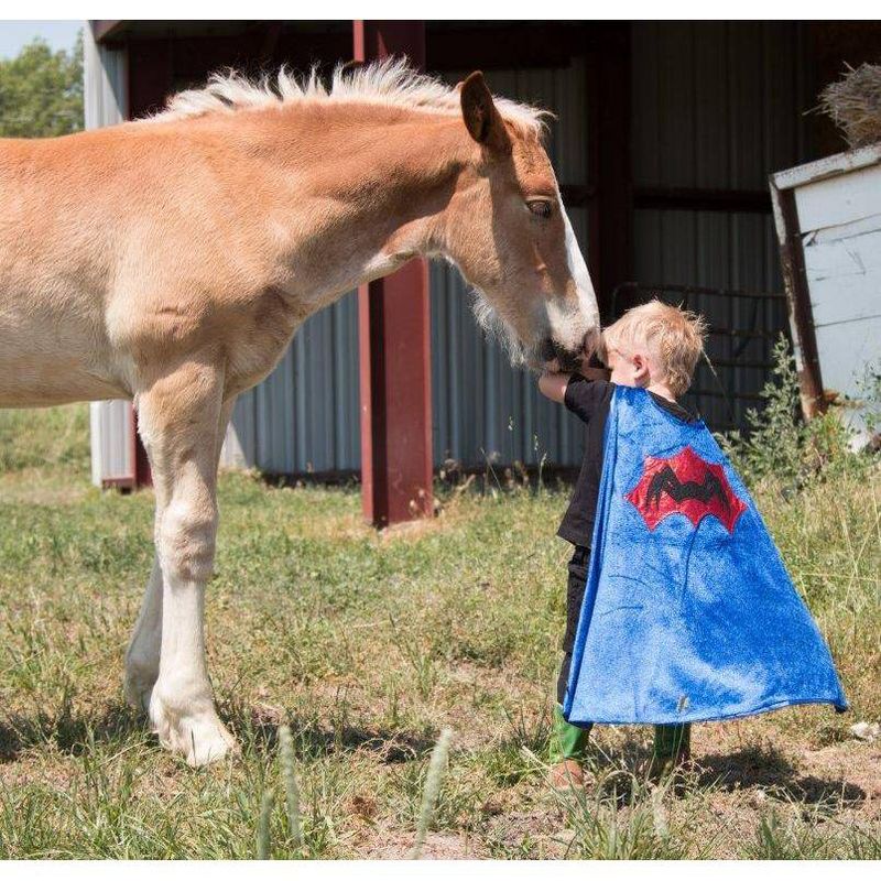 Little Adventures Boys' Spider Cape with Power Mask - Red/Blue