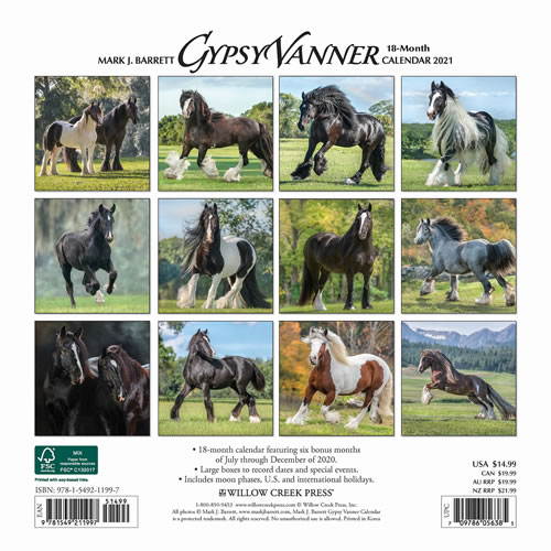 2021 Gypsy Vanner Horse Wall