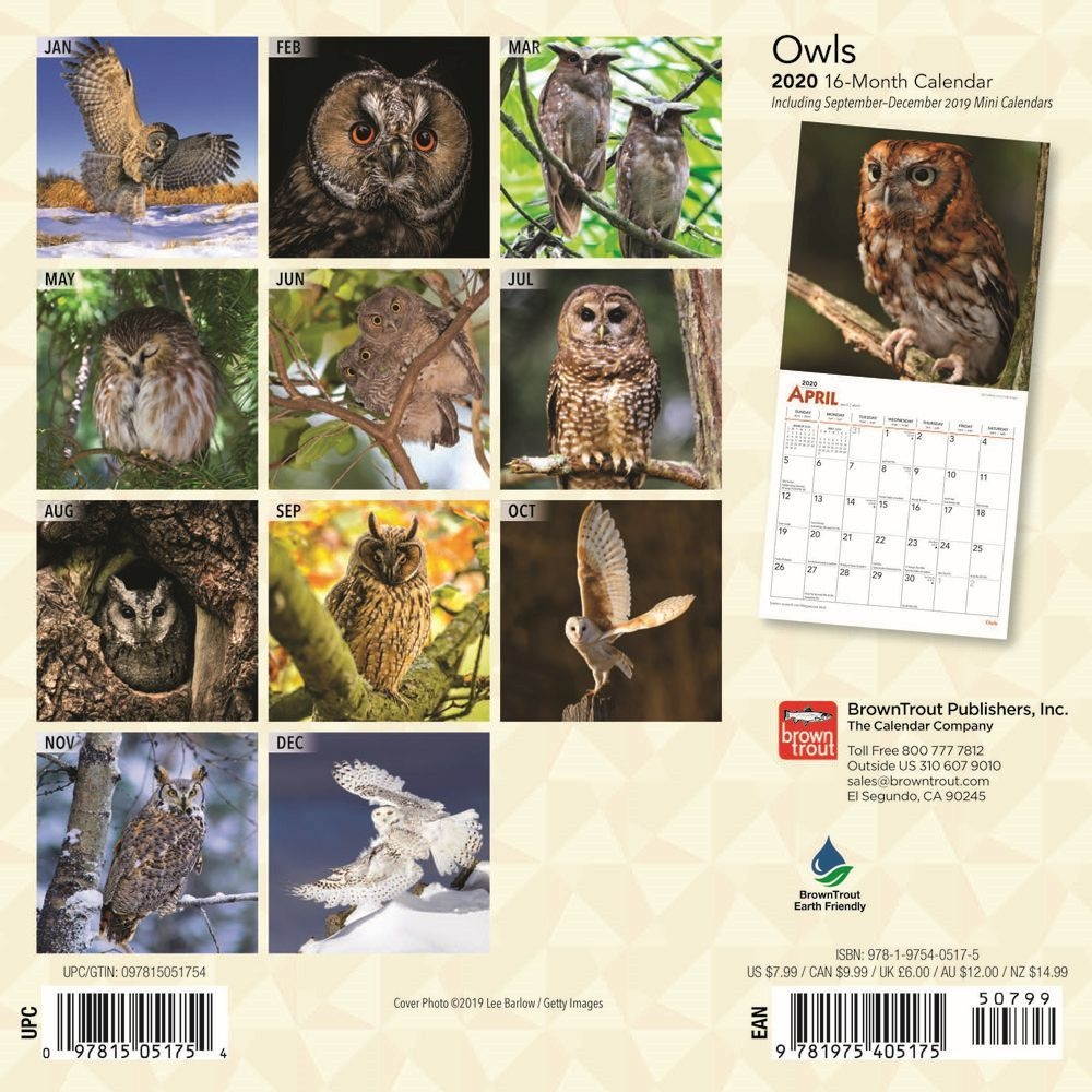 BrownTrout,  Owls Mini Wall Calendar 2021
