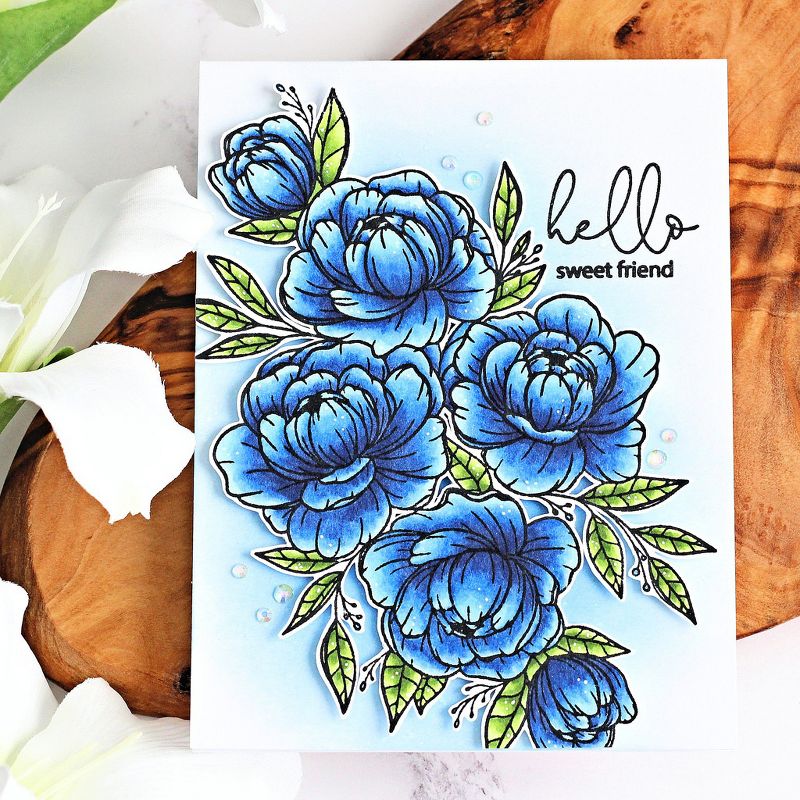 Hero Arts + Gina K 6"X8" Stamp Set-Friendship Blooms