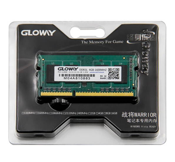 Gloway 4GB 204-Pin DDR3 SDRAM DDR3 1600 (PC3 12800) Notebook Memory Support Intel XMP 2.0