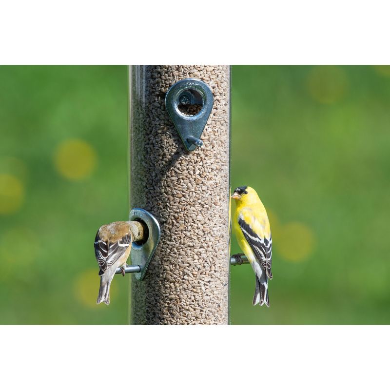 Droll Yankees Classic The Executive B-72 Bird Feeder