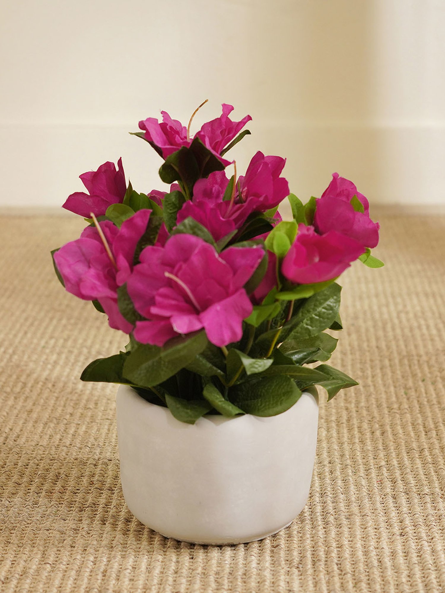 Pure Home and Living Pink Plastic Potted Plants