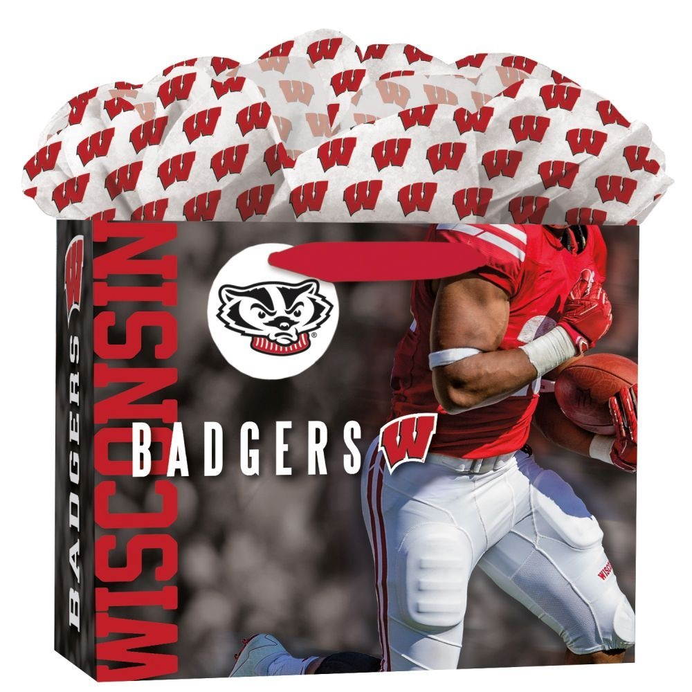 Lang Companies Inc Wisconsin Badgers Medium GoGo Gift Bag