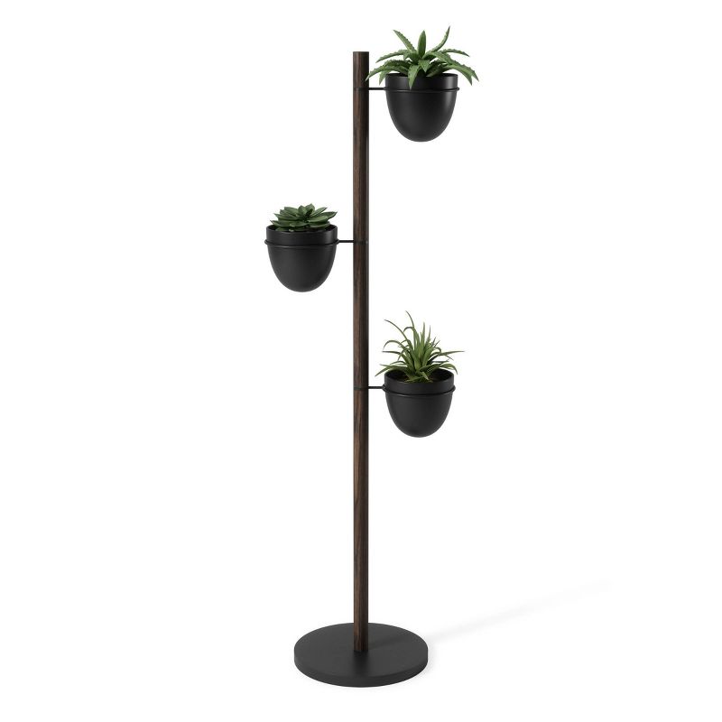 Floristand Freestanding Planter Black/Walnut - Umbra