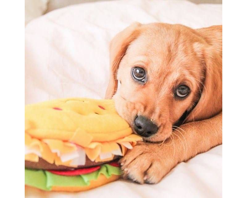 ZippyPaws NomNomz Taco Dog Toy