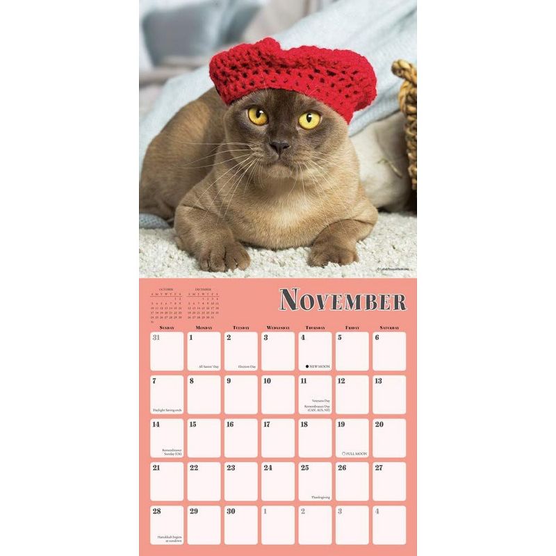 2021 Cats in Hats 16-Month Wall Calendar [Calendar] Sellers Publishing
