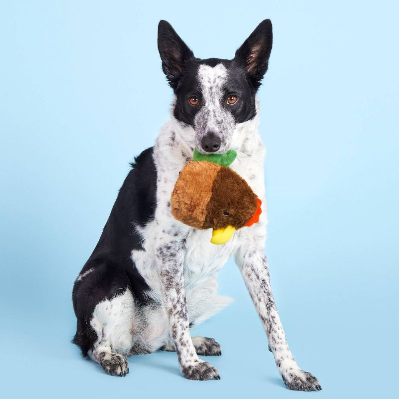 BARK Super Chewer Rooster Dog Toy - Fowl Play