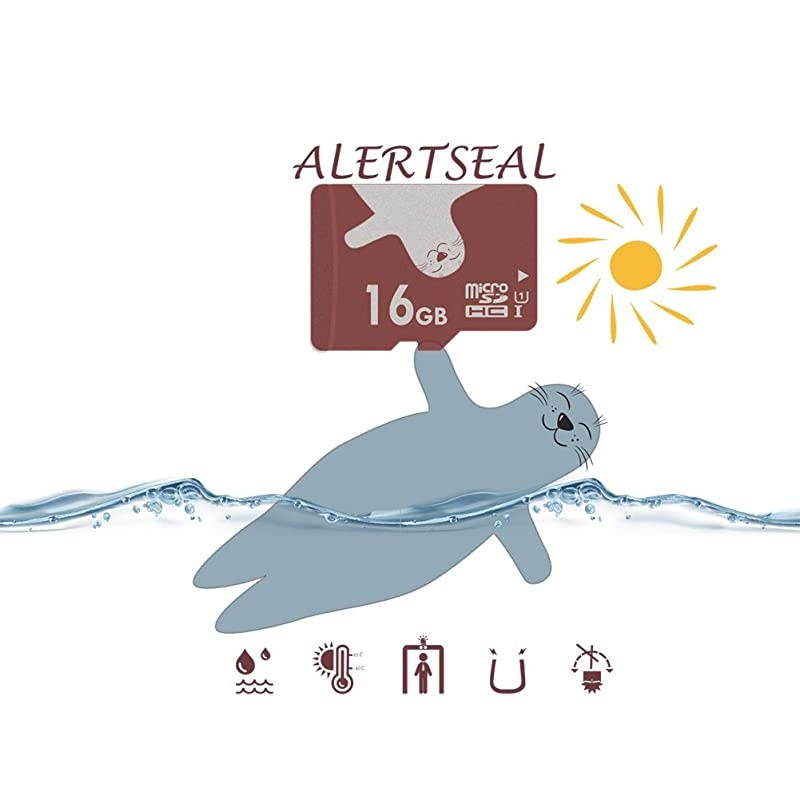 16GB UHSI U1 Class 10 C10 microSDHCTF Flash Memory Cards 2 pcs wSD adapters