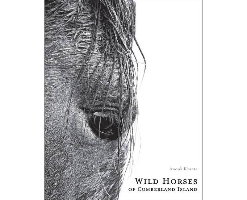 Wild Horses of Cumberland Island - 2nd Edition by  Anouk Masson Krantz (Hardcover)