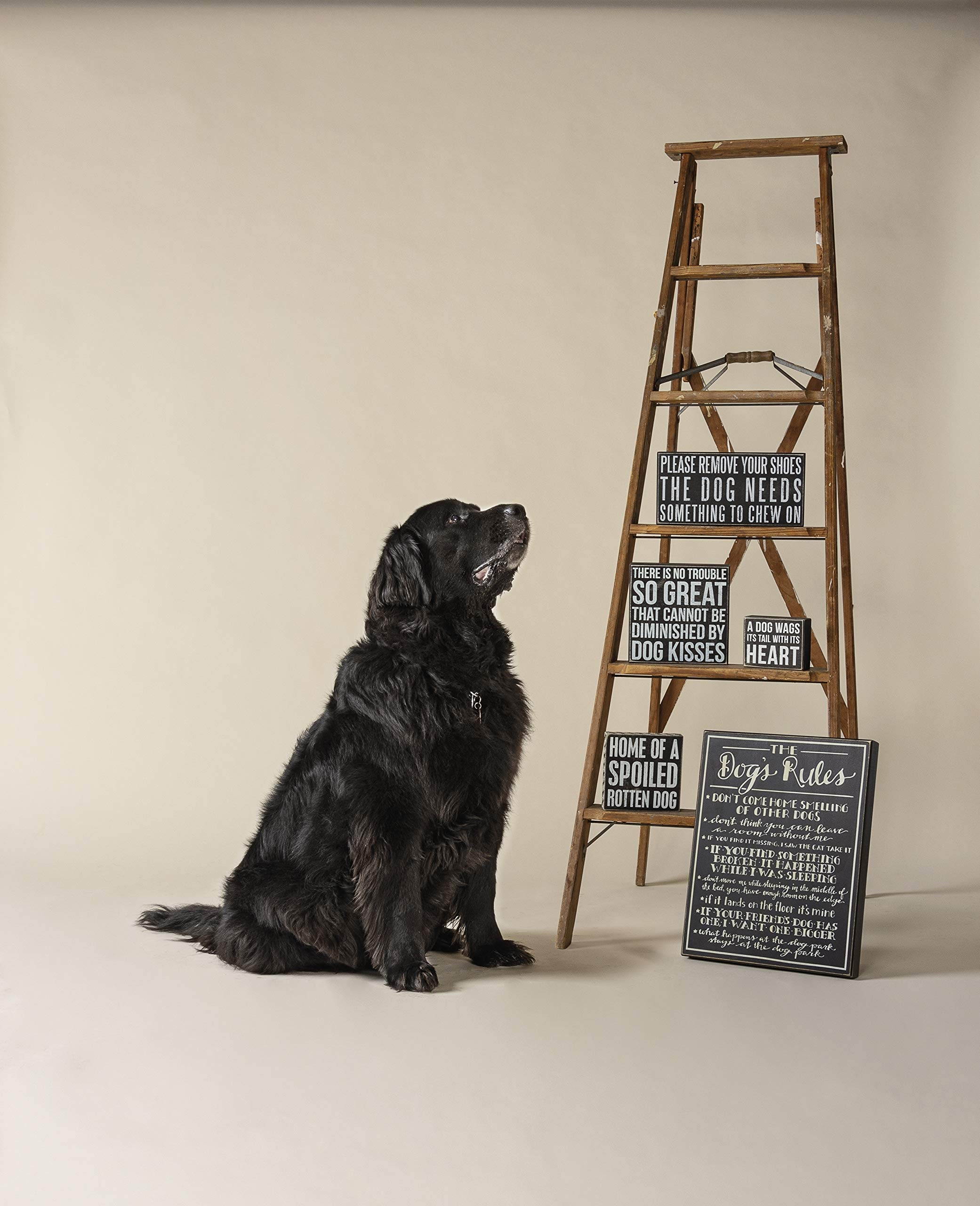 Primitives by Kathy Dog Kisses Box Sign