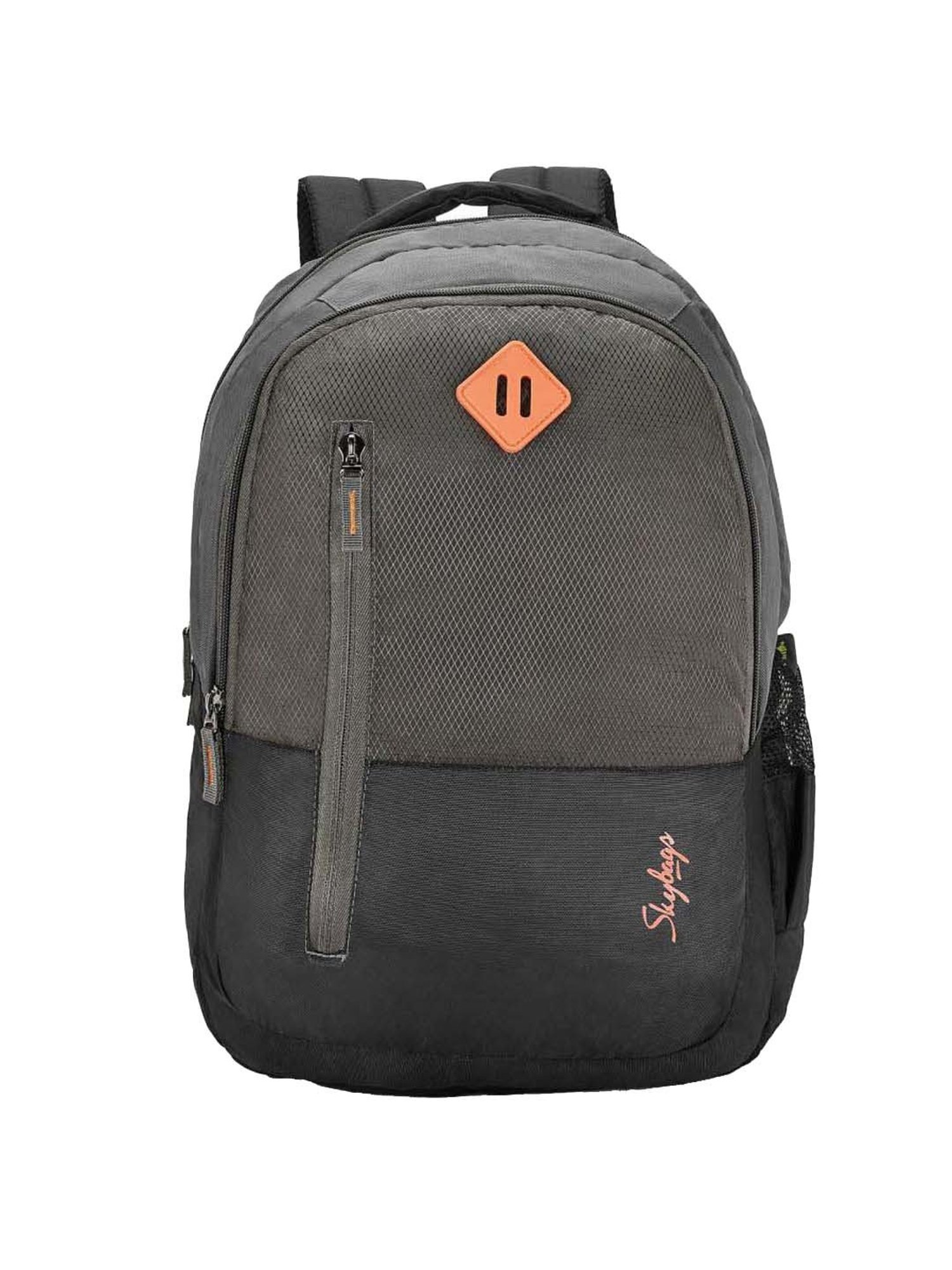 Skybags Chester 31 Ltrs Grey Medium Laptop Backpack