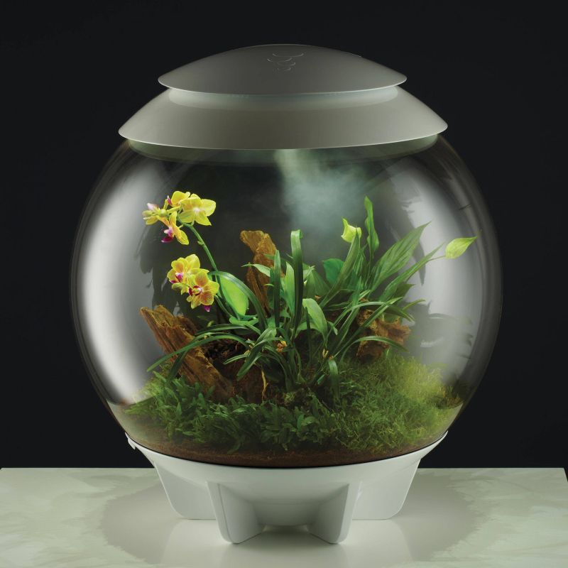 PetSafe Happy Ride Telescoping Dog Ramp - Gray