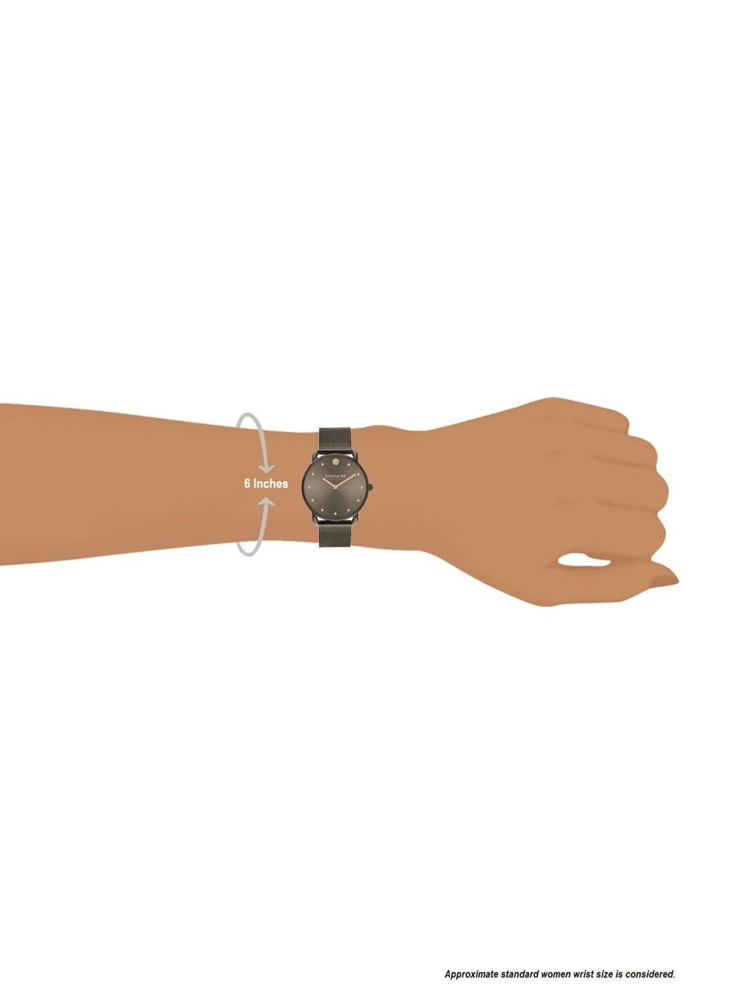 Coach CO14504210W Analog Watch for Women