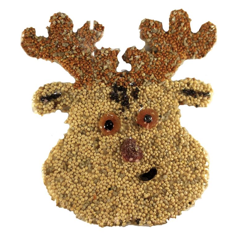 Fruit Feeder - ANCIENT GRAFFITI