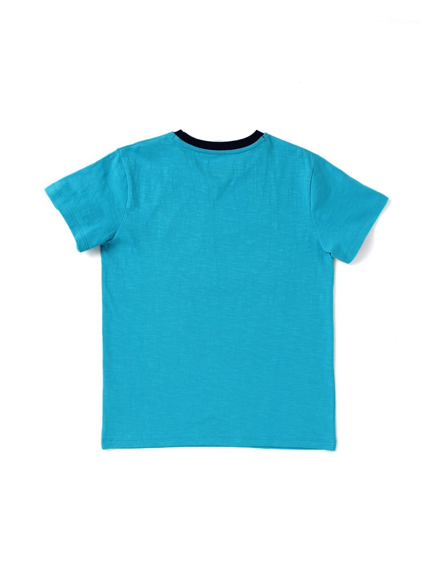 Cub McPaws Kids Blue Printed  T-Shirt