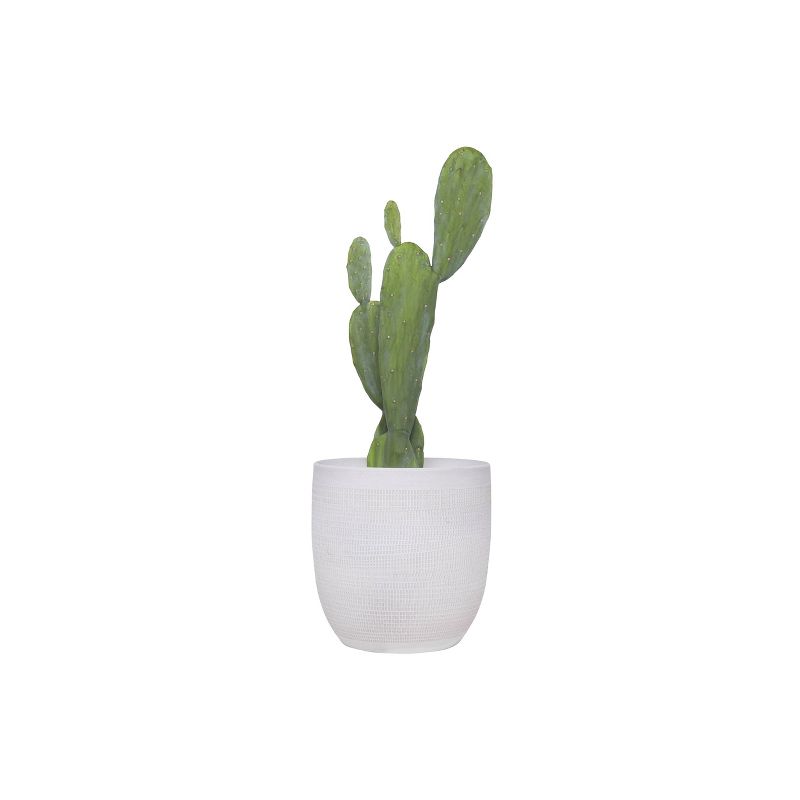 25" x 5.5" Artificial Faux Cactus Plant in Pot - 3R Studios