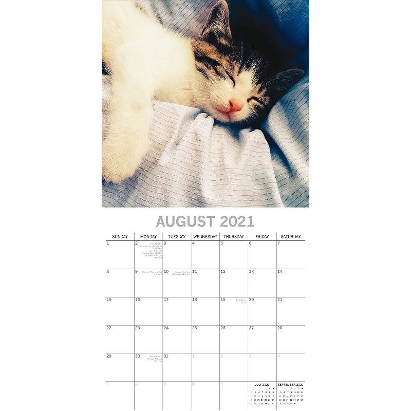 Sellers Publishing, 2021 Outlander 16-Month Wall Calendar