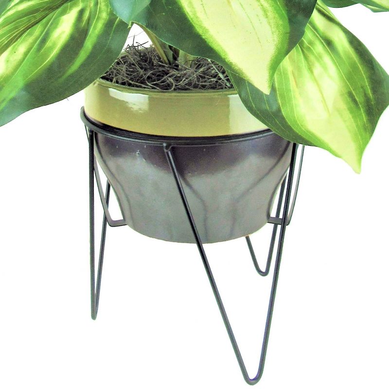 28" x 22" Artificial Hosta in Ceramic Pot with Stand - LCG Florals