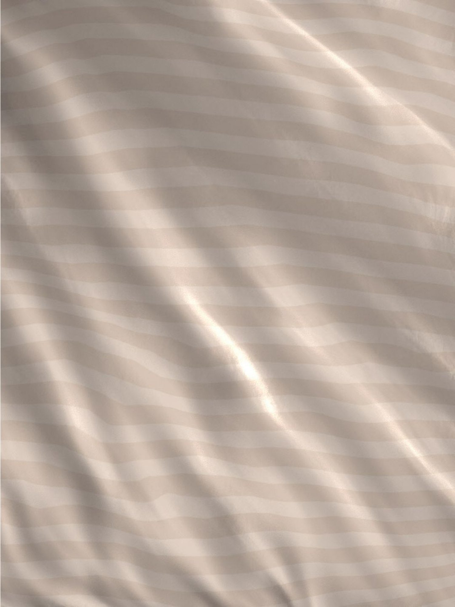 Boutique Living Musette Printed Multicolor 600 TC Cotton Queen Comforter